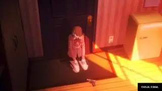 Persona 3 Reload Pull it
