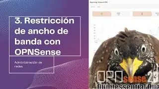 3. Bandwidth restriction with OPNSense