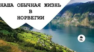Влог - наша обычная жизнь.