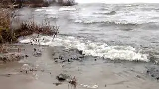 Андреевское разбушевалось