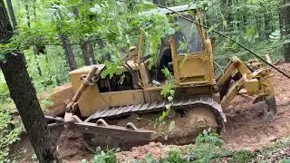 Cat Bulldozer in forest
