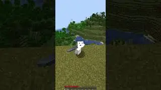 Elytra are Dangerous in Minecraft🤔#shorts @FlareD_