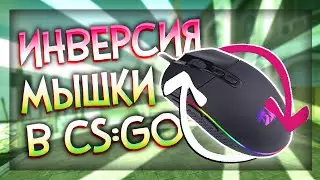 Решил поиграть на ИНВЕРСИИ МЫШКИ (CS:GO) feat. @Поповчик
