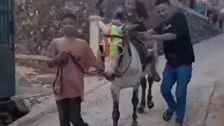 De Rhazka nangis minta naik kuda