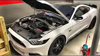 $200 Raceseng Shift knob Install & Review 15-17 Mustang