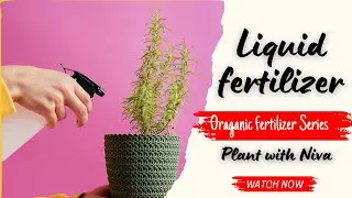 How to make Organic liquid Fertilizer ?  Organic Liquid Fertilizer kaise banaye ?