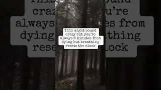 OBSCURE HISTORY #urbanlegends #american #scaryvideo #story #ai #viral #us #history