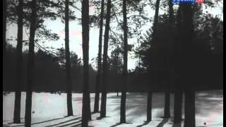 Первая весна 1954