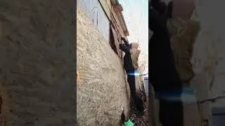 Кардио домашняя работа