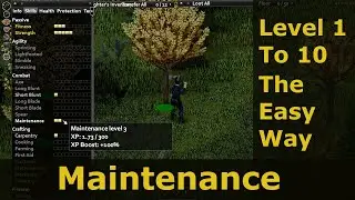 Level Maintenance The Easy Way | Project Zomboid