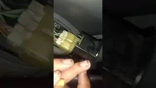 Spion Corona absolute