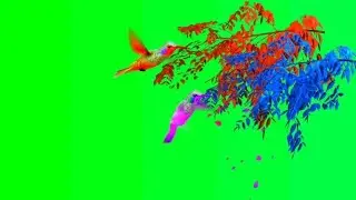 Vimage Green Screen Tree Birds Effect HD Video 