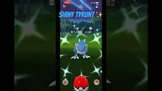 Finding a blue dino