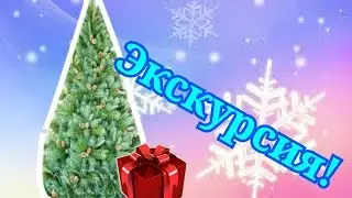 Экскурсия по ёлке!? Поставили ёлку?!