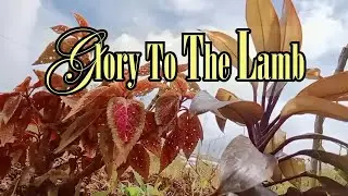 All Glory Belongs To God our Father -  Gospel Praise Songs