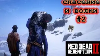 Red Dead Redemption 2 СПАСАТЕЛЬНАЯ МИССИЯ В ГОРАХ С ВОЛКАМИ #2