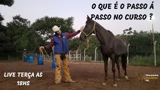O QUE É O PASSO A PASSO