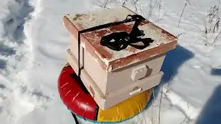 Выставка и перевозка ульев по новому