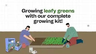 Growing Salad Greens Made Easy with All-Inclusive Growing Kit