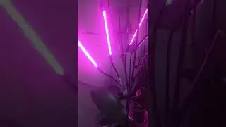 Мобильная фитолампа для Орхидей и для любых цветов.