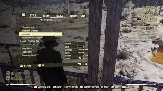 Fallout 76