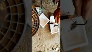 ic dimage