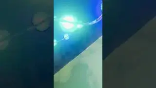 The Green Ball (|-|⭕\/\/)