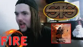 Drummer reacts to 