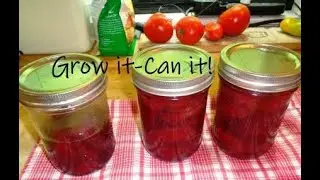 How to Make Pickled Beets, Grown in Your Garden and Water-Bath Canned - They can't be beat! ;-)