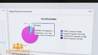 Web Performance Monitor Monitoring the End User Experience