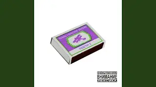 Летим домой