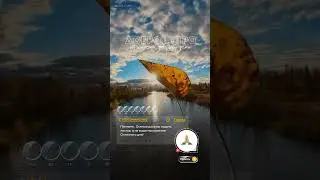 Вот и осень
