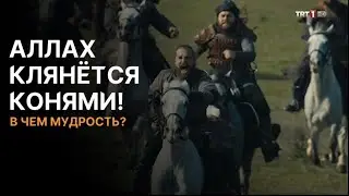 Самое удивительное, что вы услышите о конях