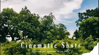 Cinematic Shots -Mi 11 lite NE 5G | slow motion | CURVE