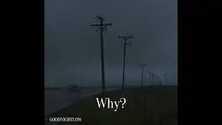 (FREE) WHY? 