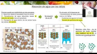 Agua en la planta   SPAC