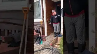 Беги, Галя, беги