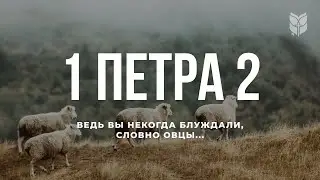 1 Петра 2. Современный перевод Библии 