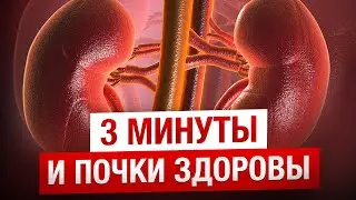 The most useful exercises for KIDNEYS / Exercise complex for kidney health