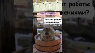 Читай комментарий #shortsvideo #shortvideo #работавинтернете #shorts #youtube #ютуб #работа