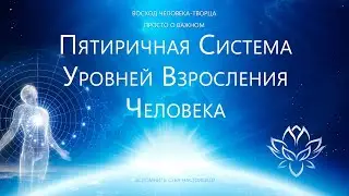 Пятиричная система уровней взросления человека (восприятия мира)