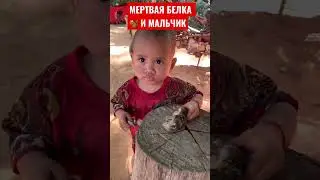 Мертвая Белка Игрушка и Еда для Мальчика из Камбоджа 