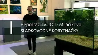 Reportáž TV JOJ Miláčikovo - Sladkovodné korytnačky