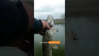 Готові до осіннього сезону? Силікон знайдете на: https://wist.com.ua/primanki/sylikonovi_prymanky/