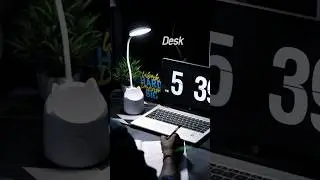 Best Budget Desk Lamp🔥