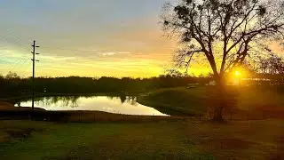 An Evening With Tom - My First-Ever Live Stream!