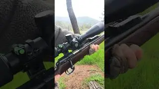 CZ 457 Lux .22LR (PART 1) #shorts #22lr #plinking #targetshooting #guns #rimfire #cz457