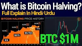 What is Bitcoin Halving? Full Explain | BTC & Altcoins Price Prediction 100X Load