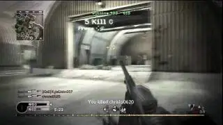 'Perfection' Dualtage Trailer