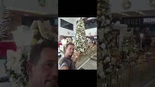 a procura da terra 🌎 prometida